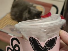 -gaga(深圳京基KKMALL店)