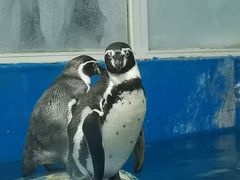 -太平洋海底世界