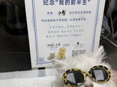 -芭比堂动物医院·心脏科·老年急重症·夜诊·吉雅分院