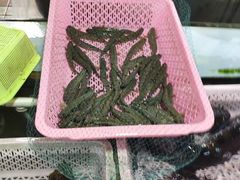 弹涂鱼-南沙十九涌渔人码头-南门