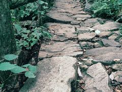 -西安祥峪森林公园