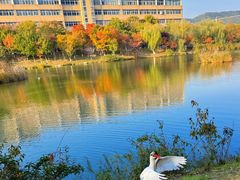 -大连外国语大学(旅顺校区)