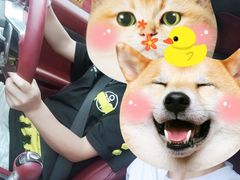 -三亚亚龙湾人间天堂鸟巢度假村