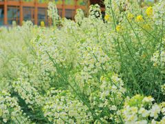 -中国天府农业博览园