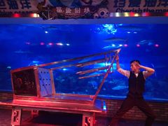 -成都浩海立方海洋公园