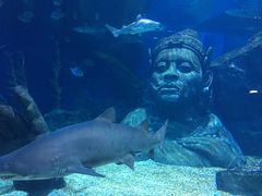-暹罗海洋世界