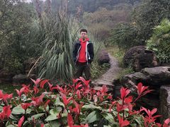 -铁山坪森林公园