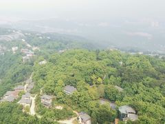 -大金鹰园