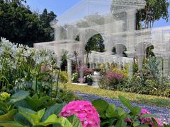 -深圳仙湖植物园