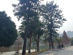 -东岳体育公园