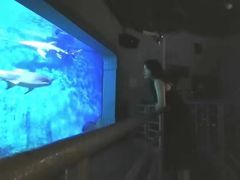 -大连圣亚海洋世界