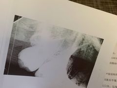 -上海市杨浦区牙病防治所