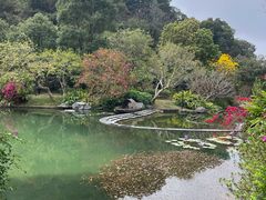 -云溪植物园