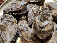 -鼎原力量东北吊炉烧烤(临河街店)