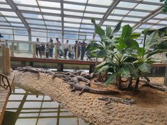 -石家庄市动物园