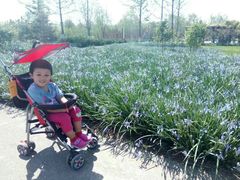 -永定河休闲森林公园