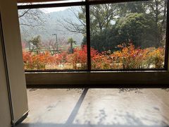 -中国茶叶博物馆(双峰馆区)