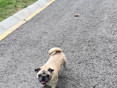 -重庆彩云湖湿地公园