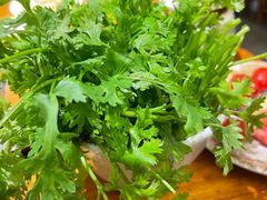 涮菜-滇香肴·云南菜蒸汽石锅鱼(云南北路店)
