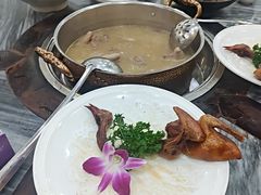 -鸽鸟轩(石岐店)
