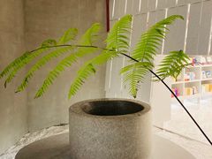 -二酉书店TOYOU BOOKS