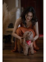 -MECCI婚礼摄影跟拍(红东方广场店)