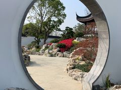 -上海滨江森林公园