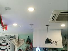 大堂-平行世界·猫咖(首经贸店)
