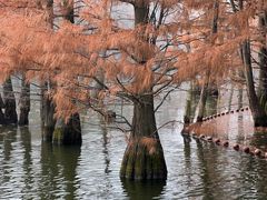 -尚湖风景区