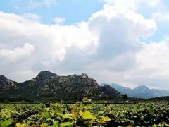 -大泽山风景名胜区