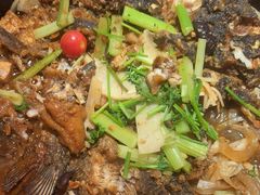 -老板恋上鱼(恒隆广场店)