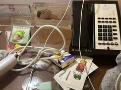 -上海波特曼丽思卡尔顿酒店