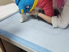 -美联众合动物医院·24h转诊中心