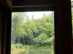 -同里国家湿地公园
