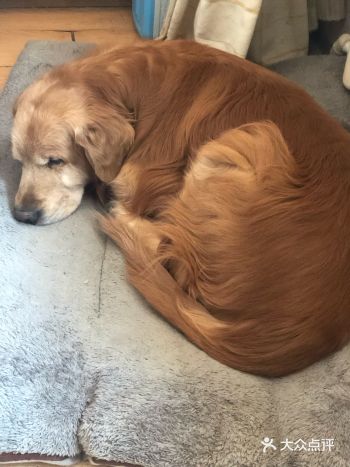 她在床下睡觉，好吧，猫就是这么神奇，不管咋滴