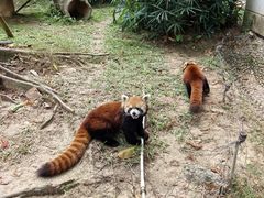 -深圳野生动物园