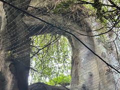 -横店影视城梦幻谷园区