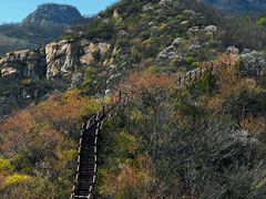 -大岭沟猕猴桃谷风景区