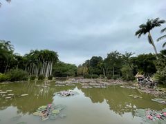 -中国科学院西双版纳热带植物园