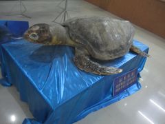 -南京金牛湖风景区