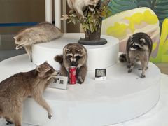 -陕西自然博物馆