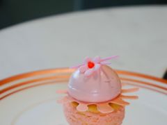 -大堂吧·雪茄吧·威士忌·下午茶(深圳机场希尔顿逸林酒店)