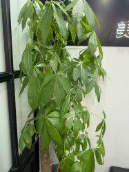 点击看大图 -丹曦·美甲美睫