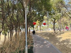 -美兰湖景区