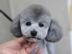 -北京恒爱动物医院(清景园分院)