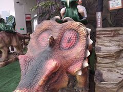 -陕西自然博物馆