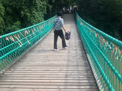 -南宁良凤江国家森林公园