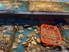 -龙宴海鲜城(经中路店)