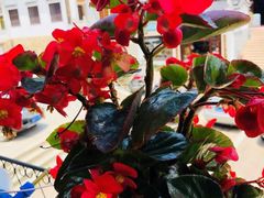 -九华山友谊土菜馆 小资餐厅