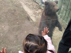 -贵州森林野生动物园